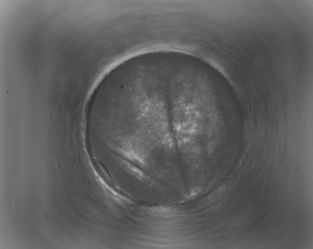 X0000080811508200701122227