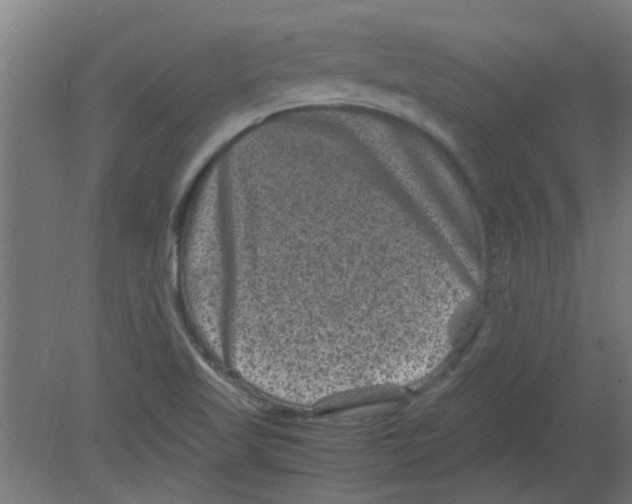 X0000080811509200701122227