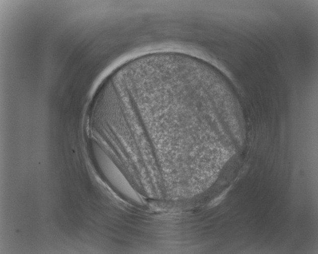 X0000080811510200701122227