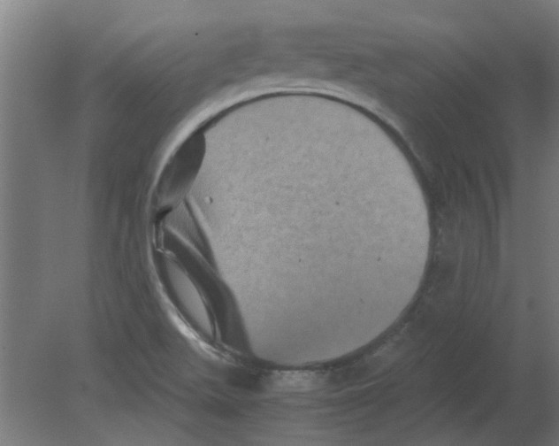 X0000080811511200701122227