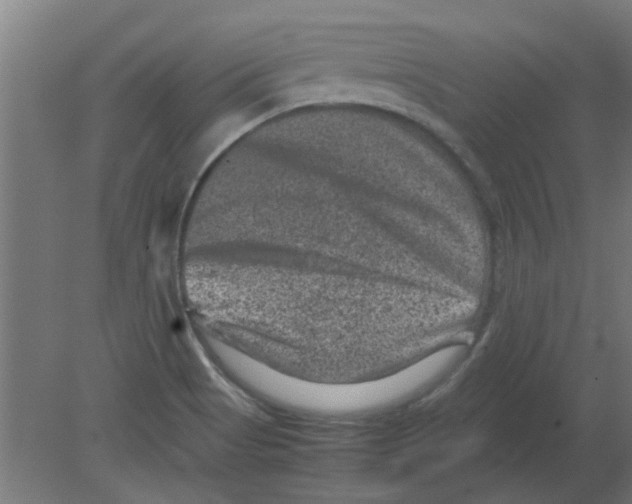 X0000080811513200701122227