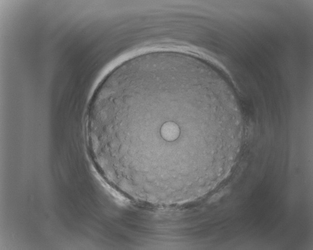 X0000080811514200701122227