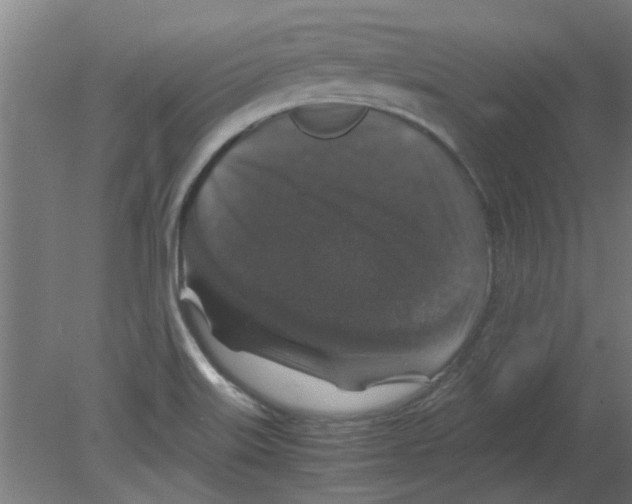 X0000080811515200701122227