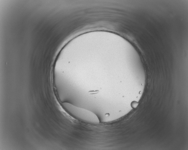 X0000080811516200701122227