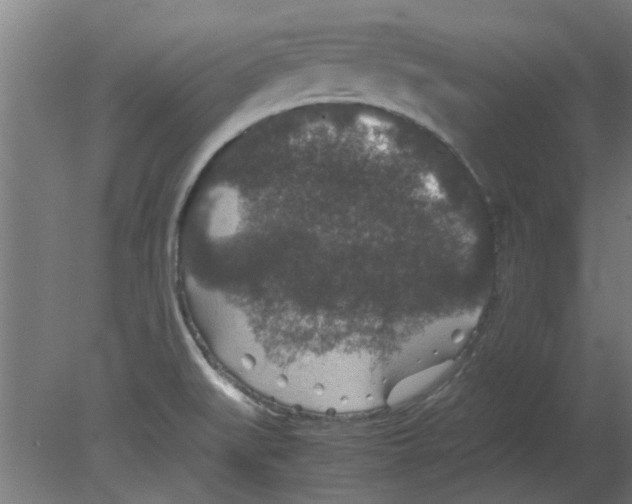 X0000080811519200701122227