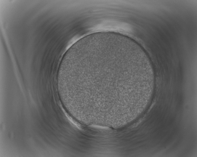 X0000080811521200701122227