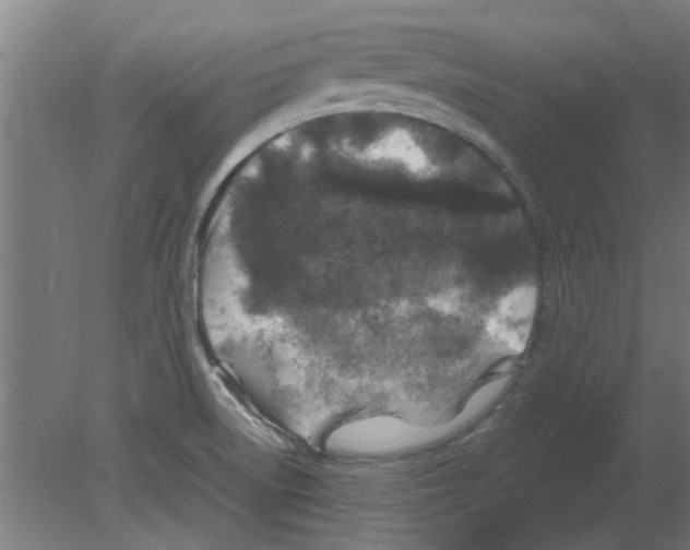 X0000080811522200701122227