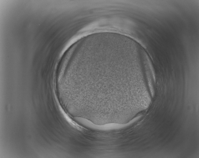 X0000080811523200701122227