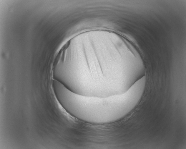 X0000080811524200701122227