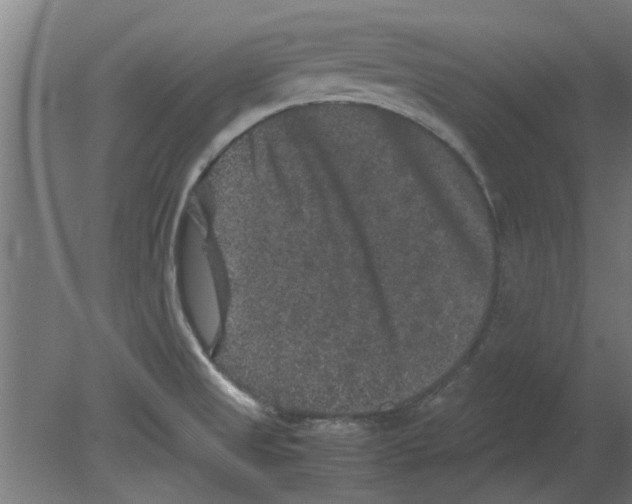 X0000080811525200701122227