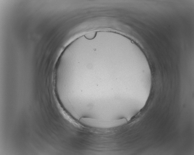 X0000080811526200701122227