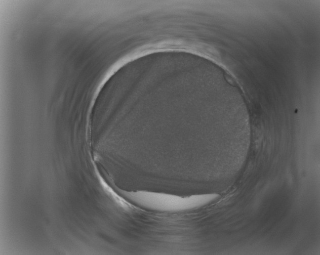 X0000080811527200701122227