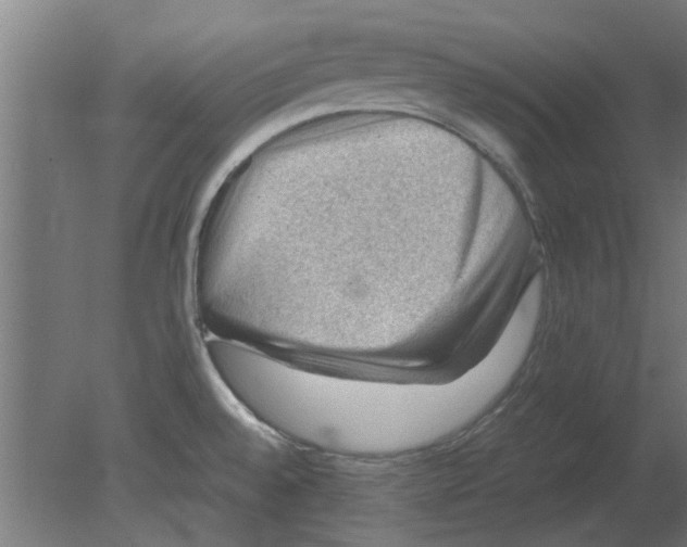 X0000080811528200701122227