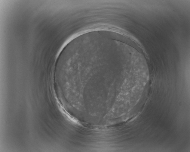 X0000080811530200701122227