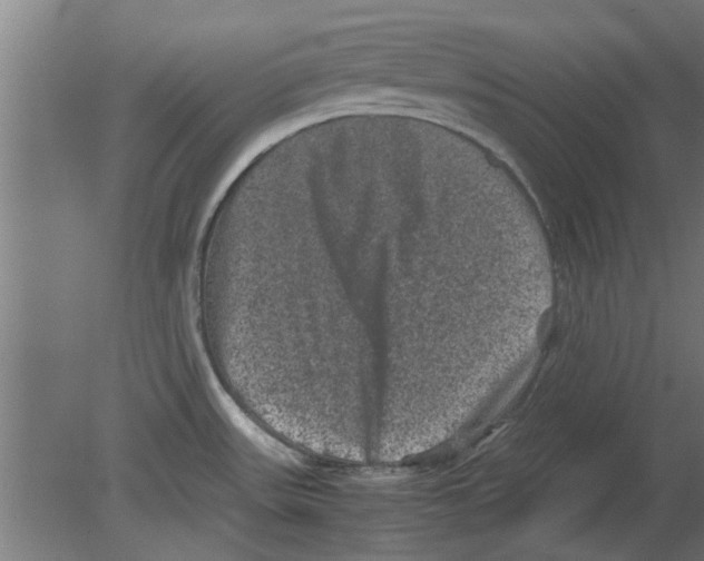 X0000080811531200701122227