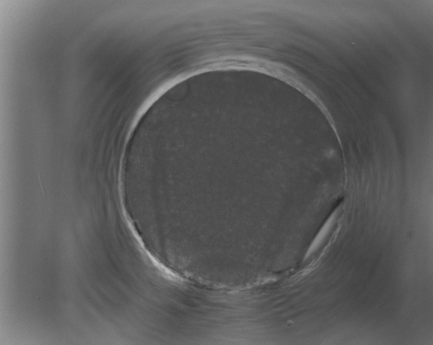 X0000080811533200701122227