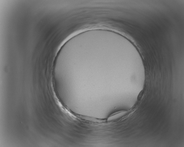 X0000080811534200701122227