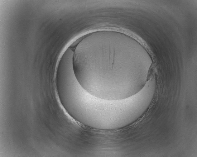 X0000080811536200701122228