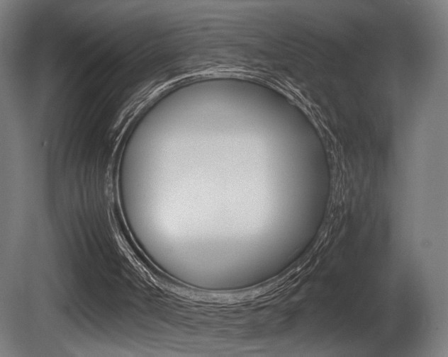 X0000081270002200701110920