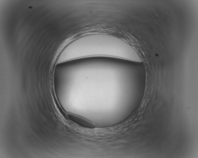 X0000081270003200701110920