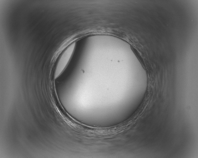 X0000081270005200701110920