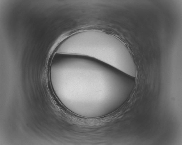 X0000081270006200701110920