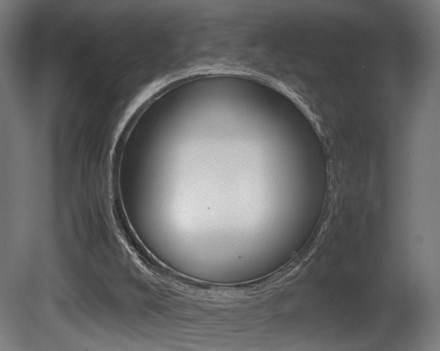 X0000081270008200701110920