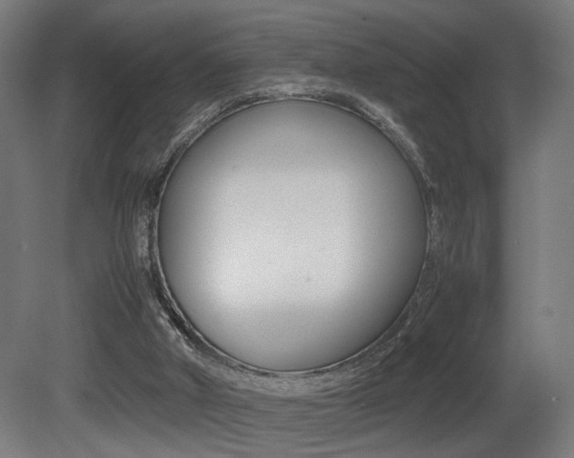X0000081270010200701110920