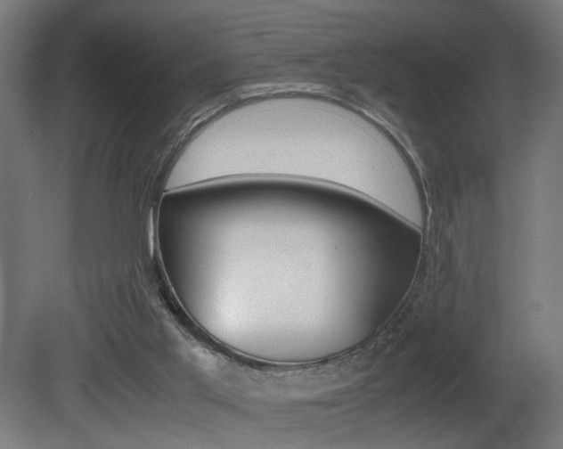 X0000081270013200701110920