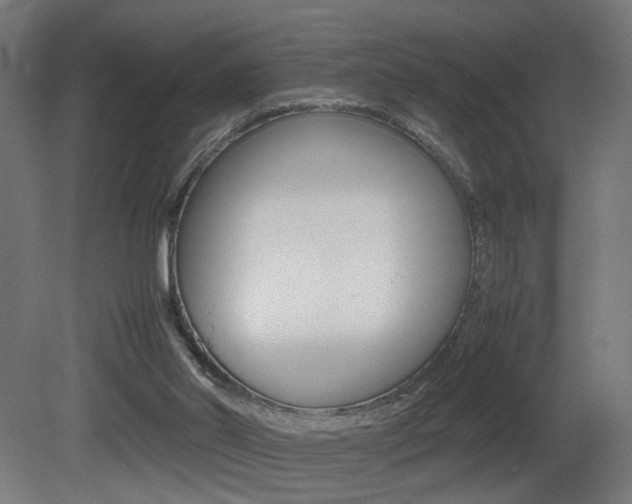 X0000081270014200701110920