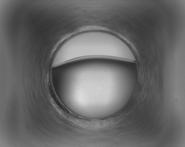 X0000081270015200701110920