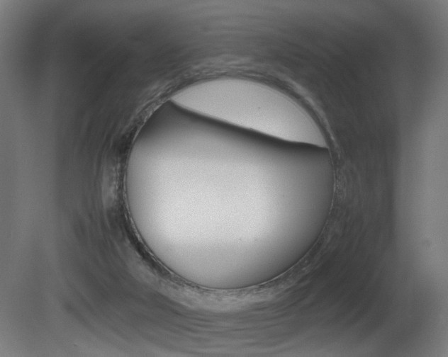 X0000081270018200701110920
