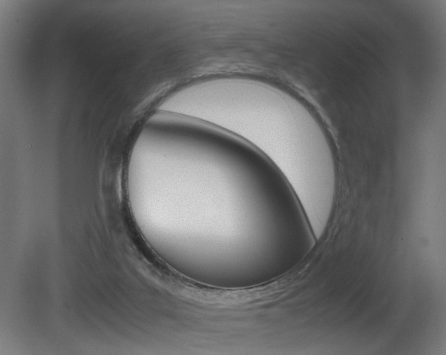 X0000081270019200701110920