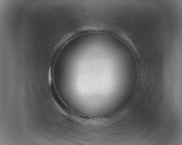 X0000081270020200701110920