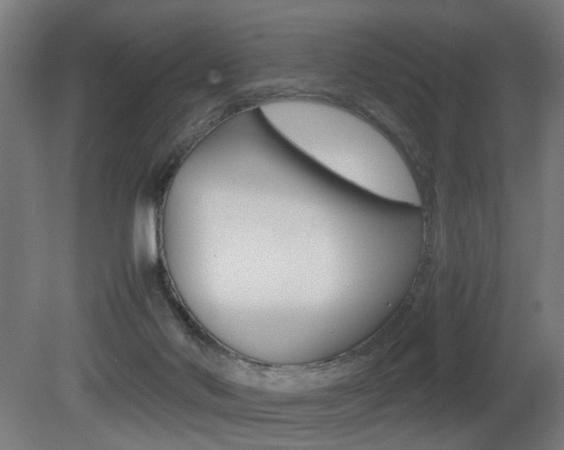 X0000081270022200701110919