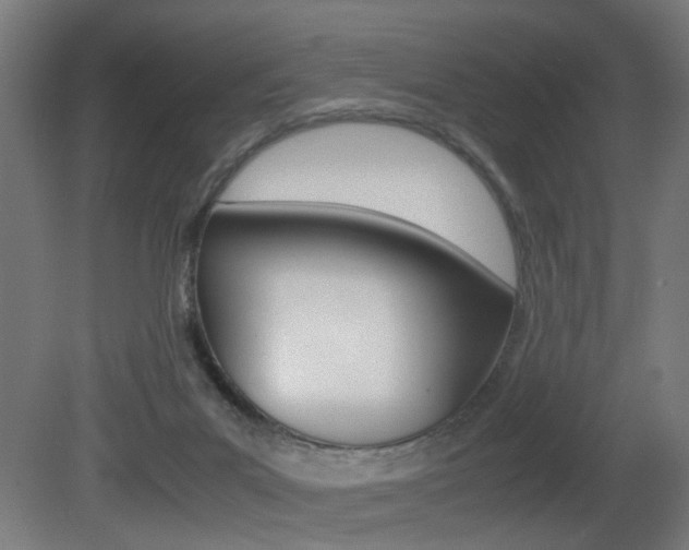 X0000081270023200701110919