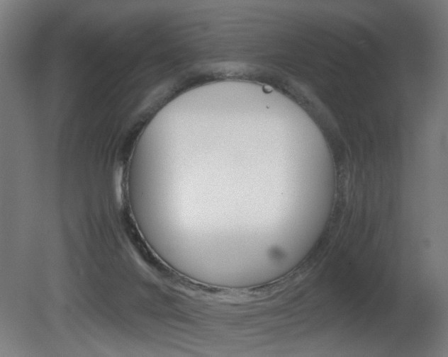 X0000081270024200701110919