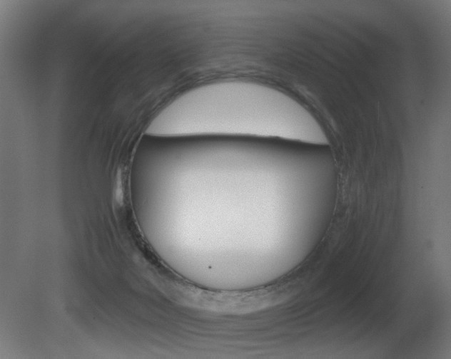 X0000081270026200701110919