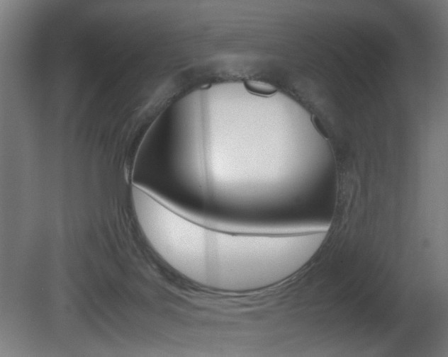 X0000081270027200701110919