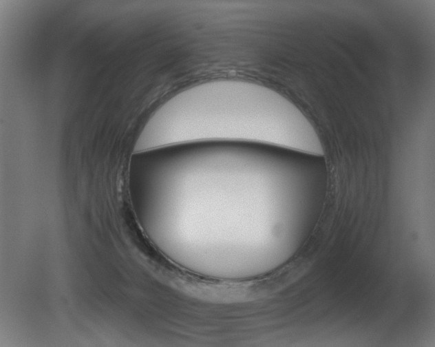 X0000081270032200701110919