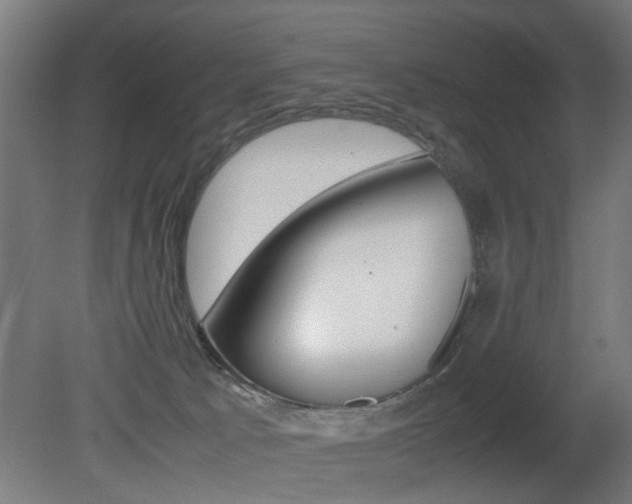 X0000081270033200701110919