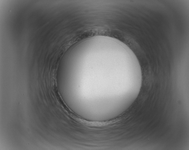 X0000081270034200701110919
