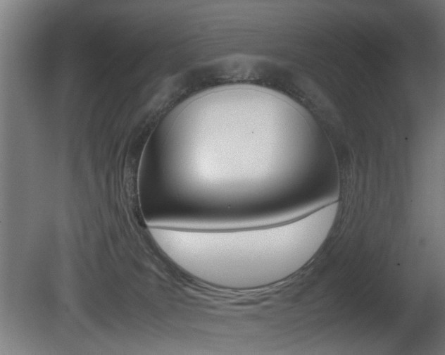 X0000081270035200701110919