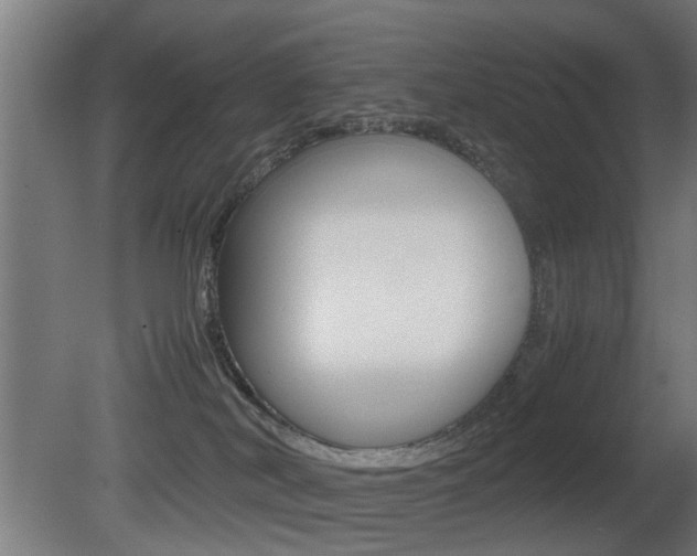 X0000081270038200701110919