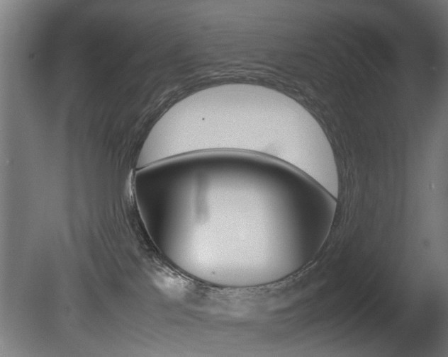 X0000081270041200701110919