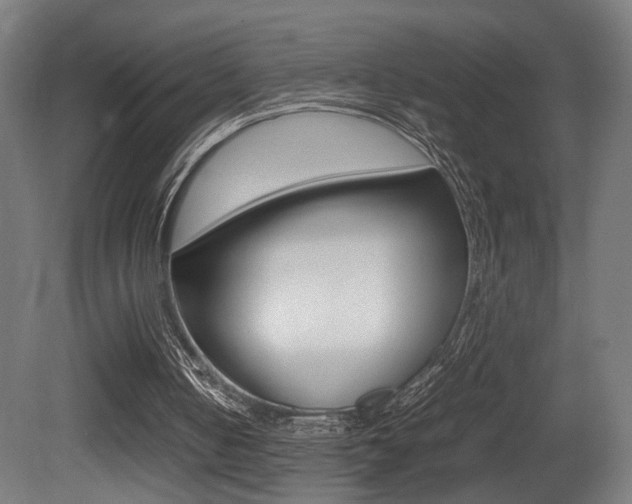 X0000081270050200701110918