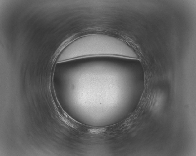 X0000081270051200701110918