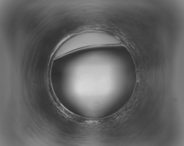 X0000081270052200701110918