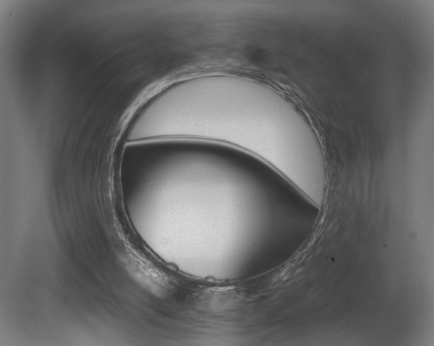 X0000081270054200701110918
