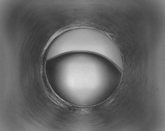 X0000081270056200701110918